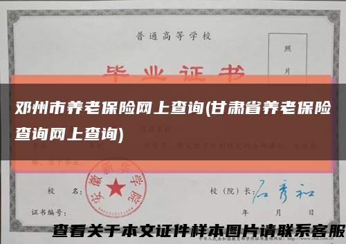 邓州市养老保险网上查询(甘肃省养老保险查询网上查询)缩略图