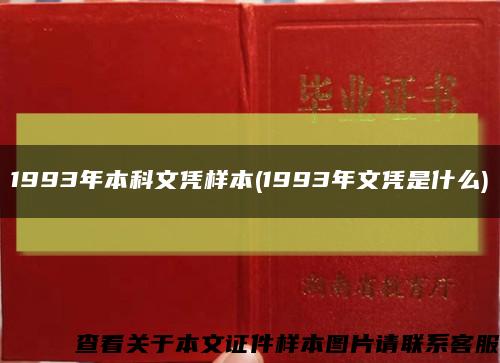 1993年本科文凭样本(1993年文凭是什么)缩略图