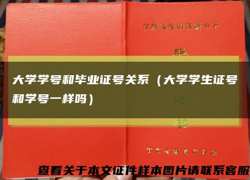 大学学号和毕业证号关系（大学学生证号和学号一样吗）缩略图