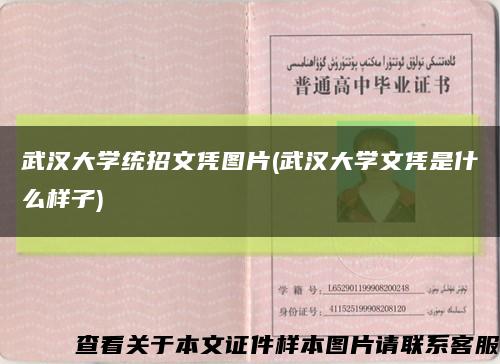 武汉大学统招文凭图片(武汉大学文凭是什么样子)缩略图