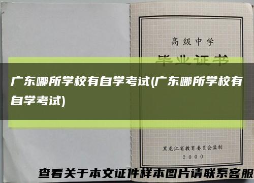 广东哪所学校有自学考试(广东哪所学校有自学考试)缩略图