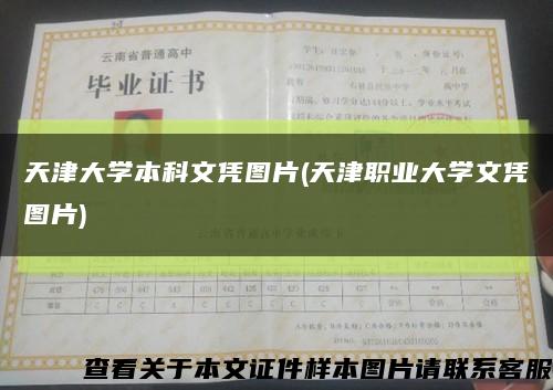 天津大学本科文凭图片(天津职业大学文凭图片)缩略图