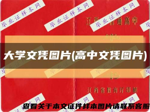 大学文凭图片(高中文凭图片)缩略图