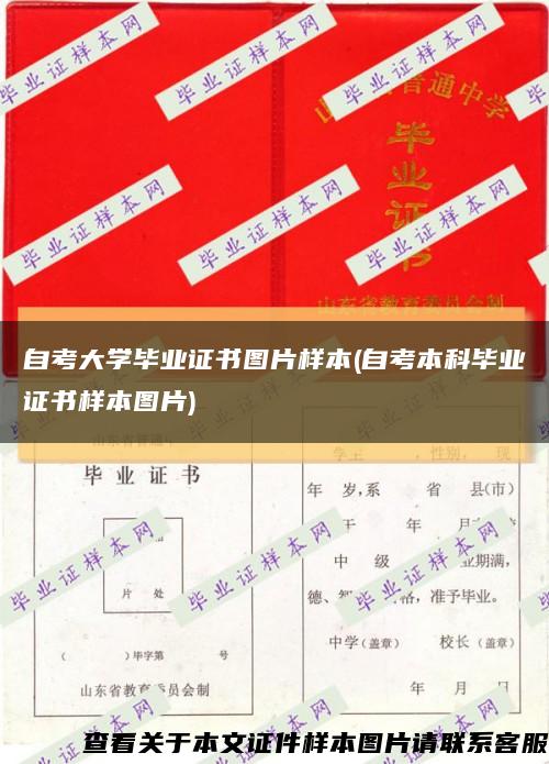 自考大学毕业证书图片样本(自考本科毕业证书样本图片)缩略图