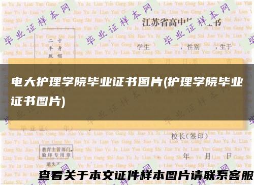 电大护理学院毕业证书图片(护理学院毕业证书图片)缩略图