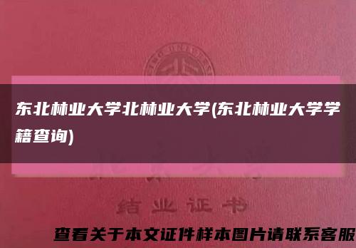 东北林业大学北林业大学(东北林业大学学籍查询)缩略图