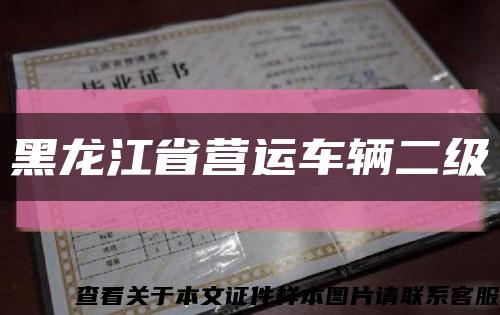 黑龙江省营运车辆二级缩略图