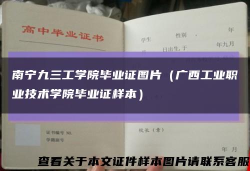 南宁九三工学院毕业证图片（广西工业职业技术学院毕业证样本）缩略图