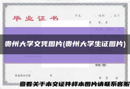 贵州大学文凭图片(贵州大学生证图片)缩略图