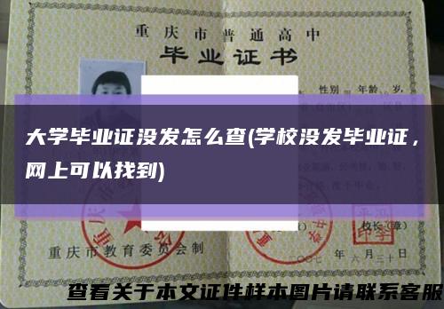 大学毕业证没发怎么查(学校没发毕业证，网上可以找到)缩略图