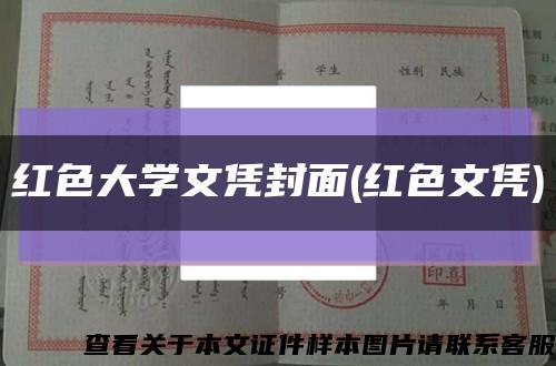 红色大学文凭封面(红色文凭)缩略图