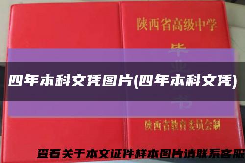 四年本科文凭图片(四年本科文凭)缩略图