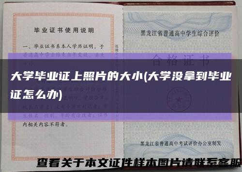 大学毕业证上照片的大小(大学没拿到毕业证怎么办)缩略图