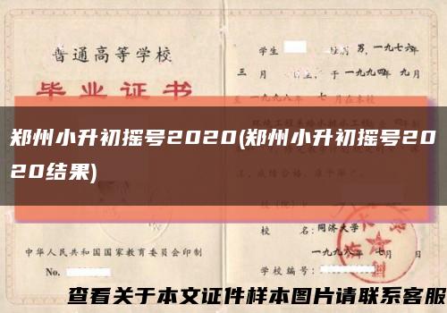 郑州小升初摇号2020(郑州小升初摇号2020结果)缩略图