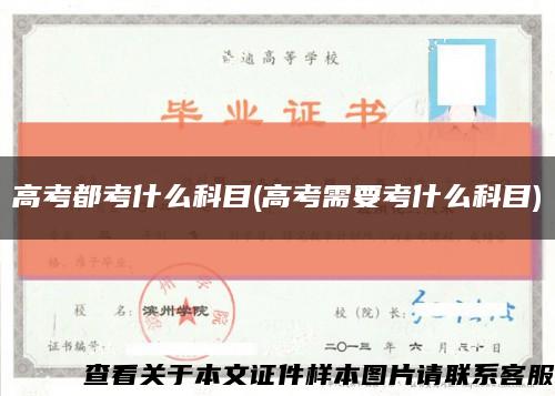 高考都考什么科目(高考需要考什么科目)缩略图