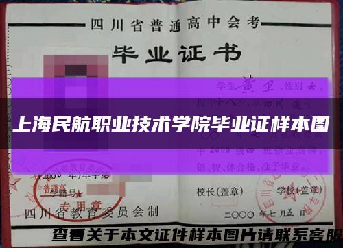 上海民航职业技术学院毕业证样本图缩略图