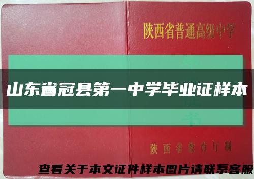 山东省冠县第一中学毕业证样本缩略图