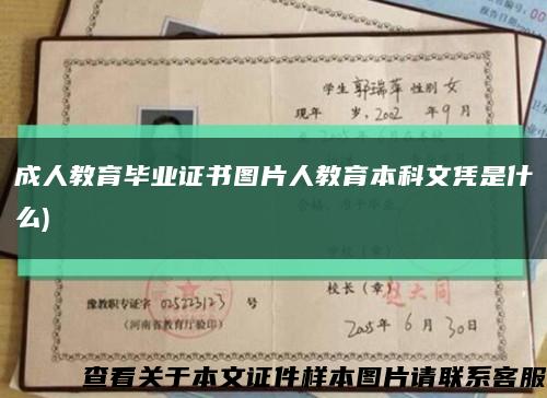 成人教育毕业证书图片人教育本科文凭是什么)缩略图