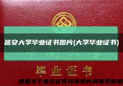 延安大学毕业证书图片(大学毕业证书)缩略图