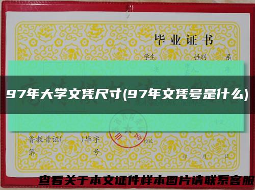 97年大学文凭尺寸(97年文凭号是什么)缩略图