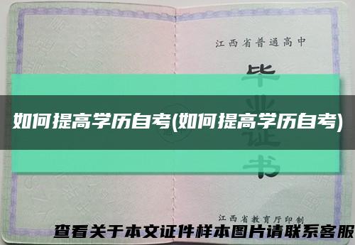 如何提高学历自考(如何提高学历自考)缩略图