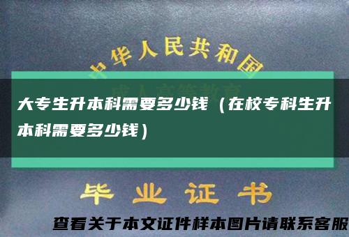 大专生升本科需要多少钱（在校专科生升本科需要多少钱）缩略图