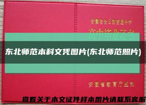 东北师范本科文凭图片(东北师范照片)缩略图