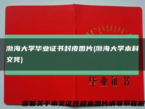 渤海大学毕业证书封皮图片(渤海大学本科文凭)缩略图