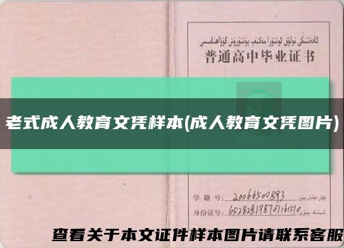 老式成人教育文凭样本(成人教育文凭图片)缩略图