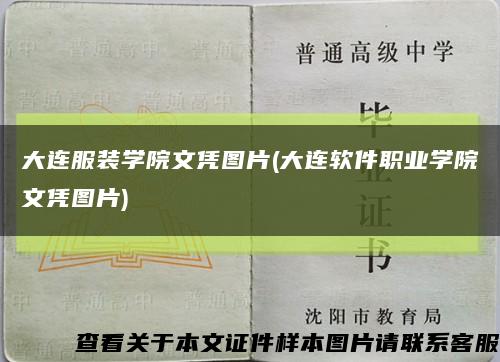 大连服装学院文凭图片(大连软件职业学院文凭图片)缩略图