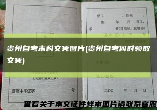 贵州自考本科文凭图片(贵州自考何时领取文凭)缩略图