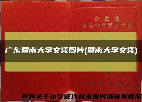 广东暨南大学文凭图片(暨南大学文凭)缩略图