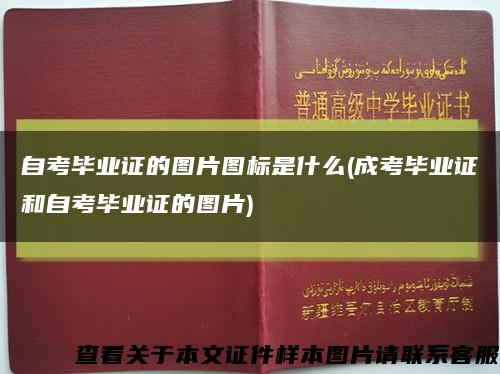 自考毕业证的图片图标是什么(成考毕业证和自考毕业证的图片)缩略图