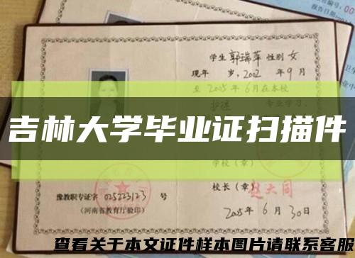 吉林大学毕业证扫描件缩略图