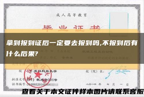 拿到报到证后一定要去报到吗,不报到后有什么后果?缩略图