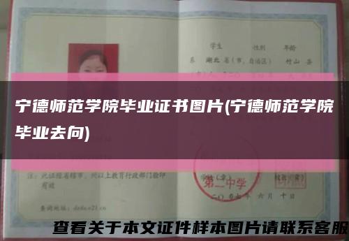 宁德师范学院毕业证书图片(宁德师范学院毕业去向)缩略图