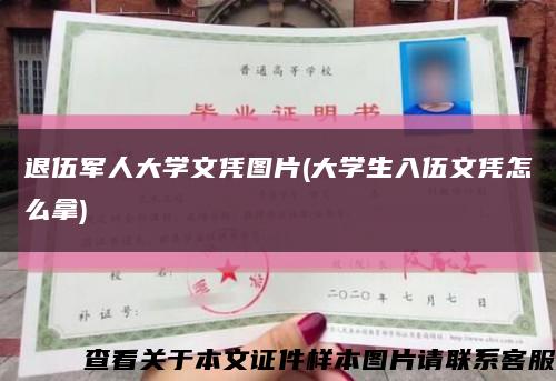 退伍军人大学文凭图片(大学生入伍文凭怎么拿)缩略图