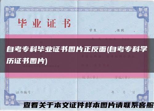 自考专科毕业证书图片正反面(自考专科学历证书图片)缩略图