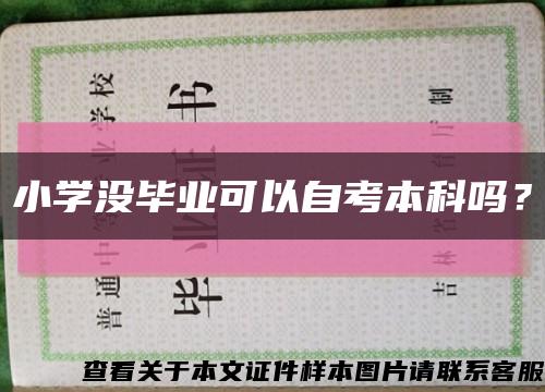 小学没毕业可以自考本科吗？缩略图