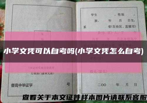 小学文凭可以自考吗(小学文凭怎么自考)缩略图