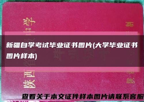 新疆自学考试毕业证书图片(大学毕业证书图片样本)缩略图