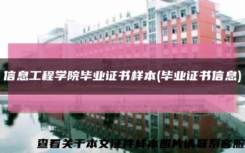 信息工程学院毕业证书样本(毕业证书信息)缩略图