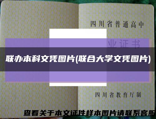 联办本科文凭图片(联合大学文凭图片)缩略图