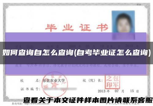 如何查询自怎么查询(自考毕业证怎么查询)缩略图