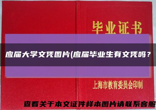 应届大学文凭图片(应届毕业生有文凭吗？缩略图