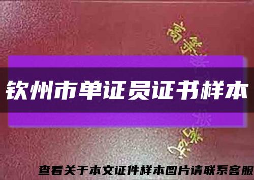 钦州市单证员证书样本缩略图