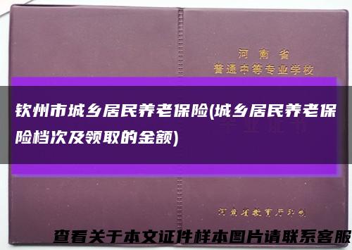 钦州市城乡居民养老保险(城乡居民养老保险档次及领取的金额)缩略图