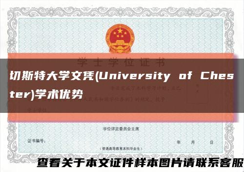 切斯特大学文凭(University of Chester)学术优势缩略图