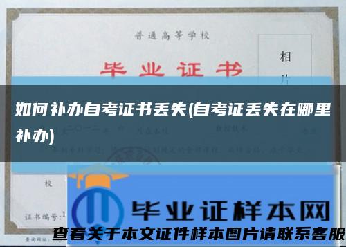 如何补办自考证书丢失(自考证丢失在哪里补办)缩略图