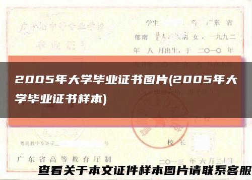 2005年大学毕业证书图片(2005年大学毕业证书样本)缩略图